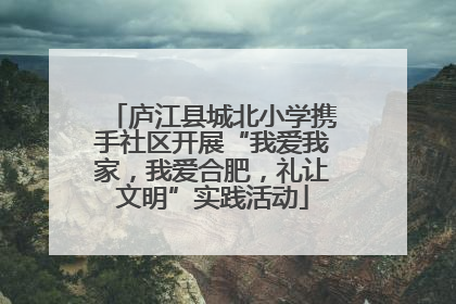 庐江县城北小学携手社区开展“我爱我家，我爱合肥，礼让文明”实践活动